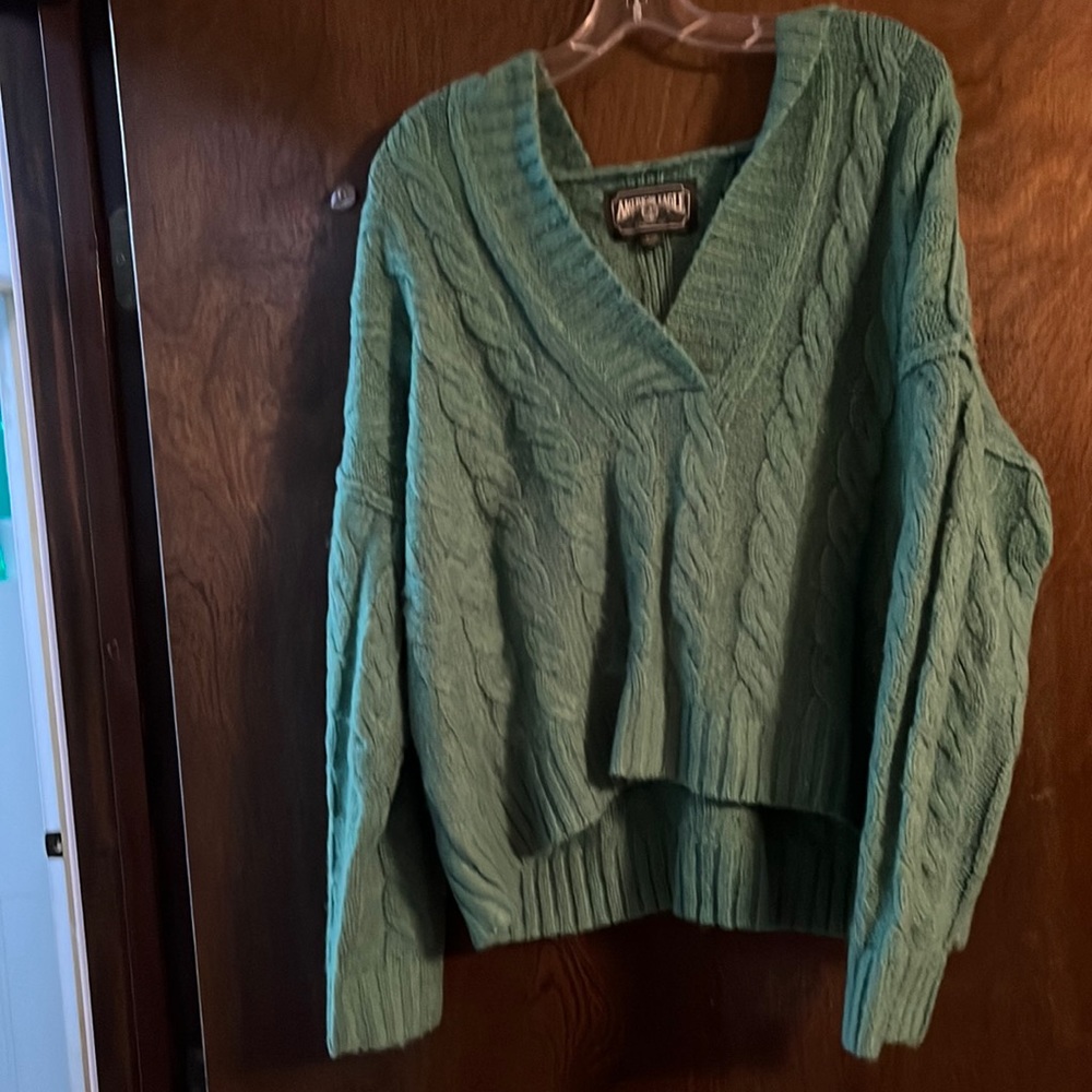 American Eagle Hooded Sweater